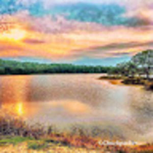 Meet your Posher, Ginny